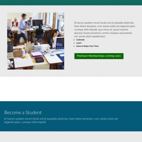 Screen-Shot-2016-12-08-at-5.09.16-PM.png-nggid041876-ngg0dyn-480x480x90-00f0w010c011r110f110r010t010