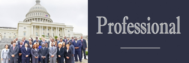 banner-professional