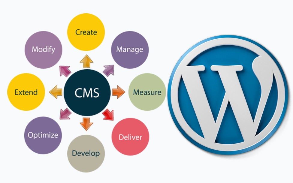 How investing in a quality CMS website generates big savings