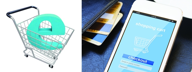 E-commerce is great for monetizing services online as well!